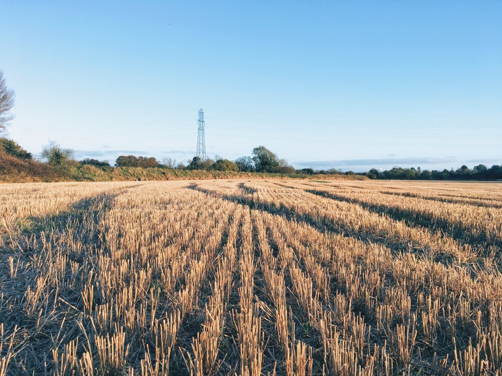 Discipleship: Called to The Work of the Harvest (Luke&nbsp;10:1-12)