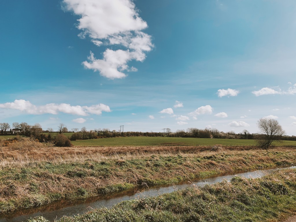2 | HOLY WEEK 2020 | JOHN 12:20 – 36 | The Glory of King&nbsp;Jesus